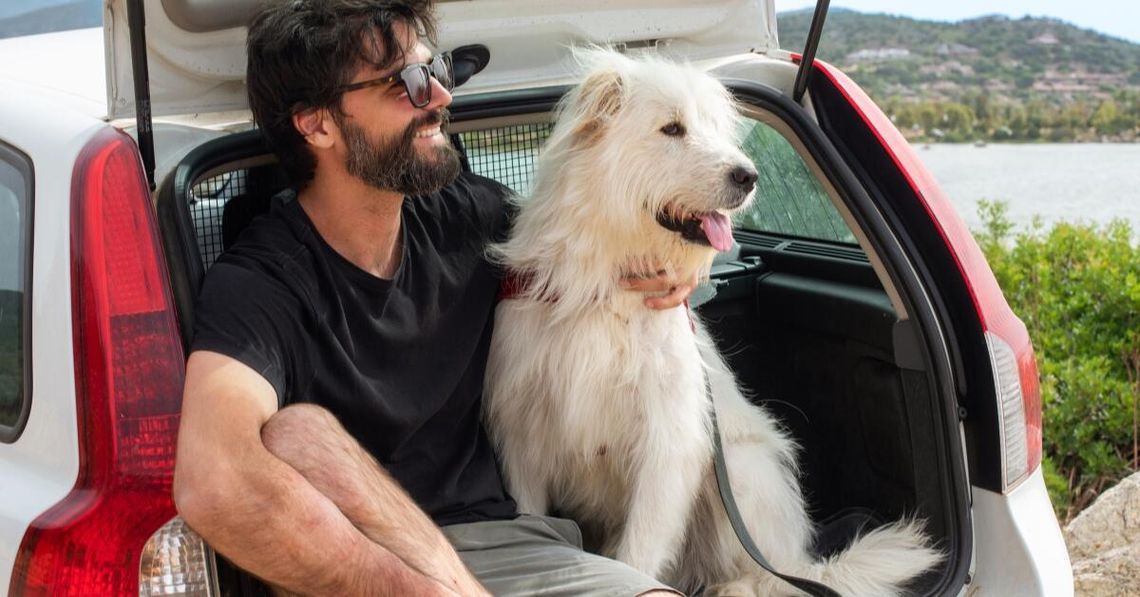 Wakacje z pupilem – jak przygotować się do podróży z psem lub kotem?