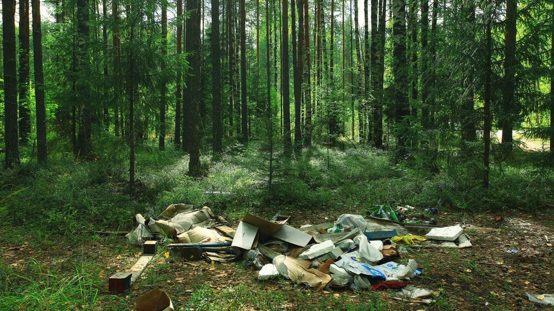 Wakacje z widokiem na śmieci? Polska w cieniu dzikich wysypisk