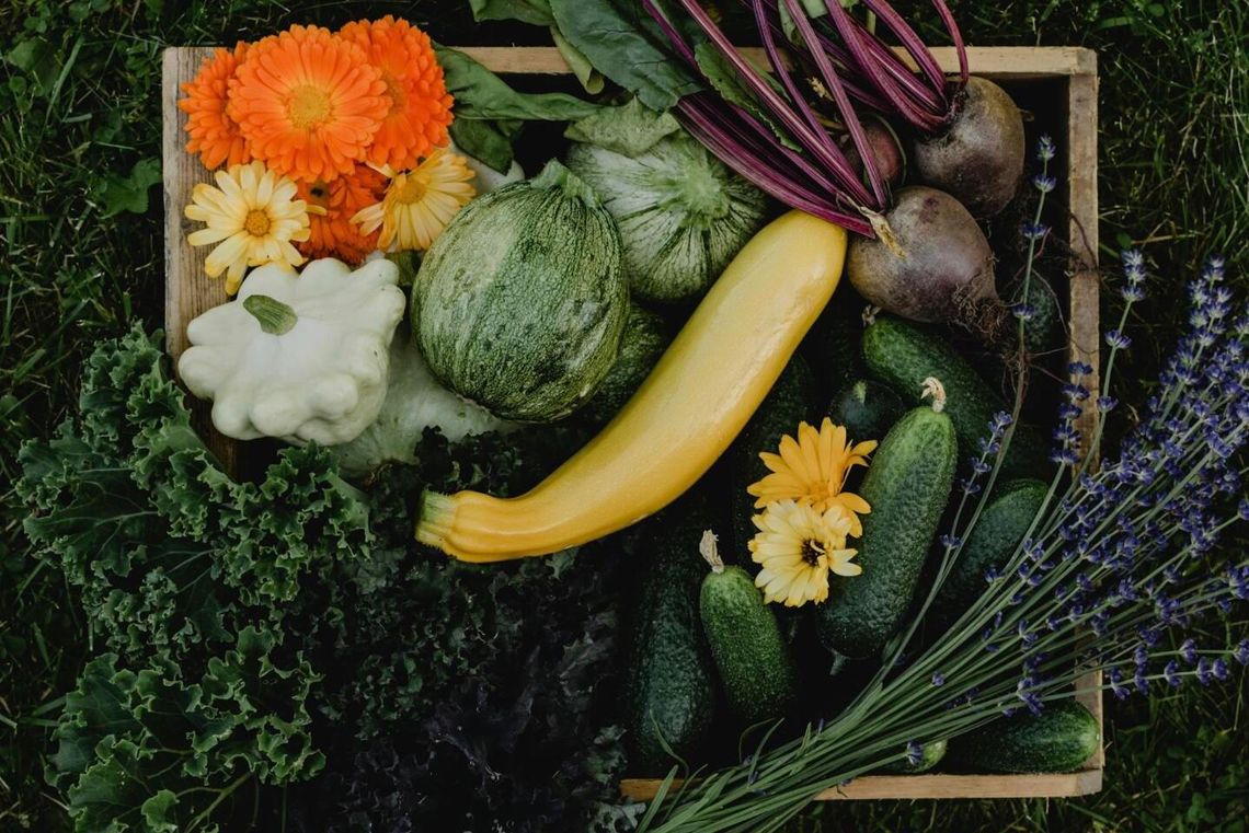 Wrzesień na talerzu – cukinia królowa jesiennej kuchni