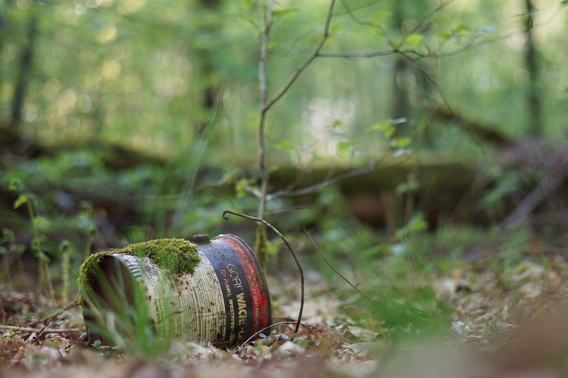 Wypoczynek, przyroda i śmieci. Oto dlaczego tereny zielone toną w odpadach