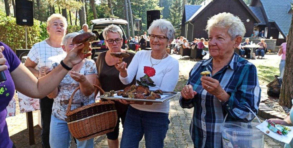 Wyprawa w poszukiwaniu grzybów