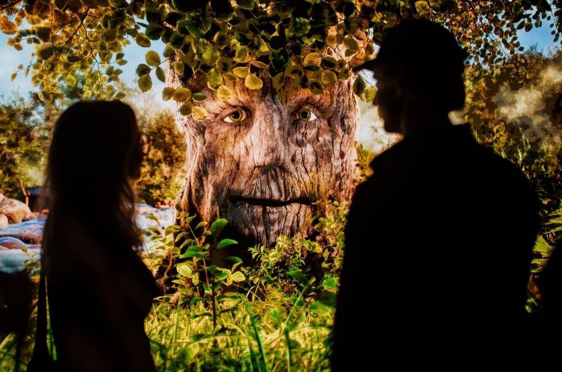 Wystawa „10 milionów drzew” pokazuje, co to znaczy „być po stronie natury”