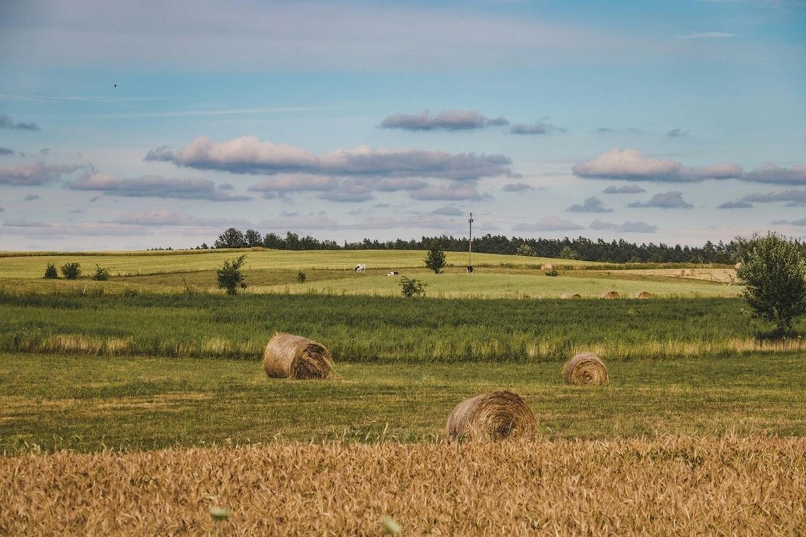 Za kilka lat rolnicy będą liczyć nie tylko plony, ale także ślad węglowy
