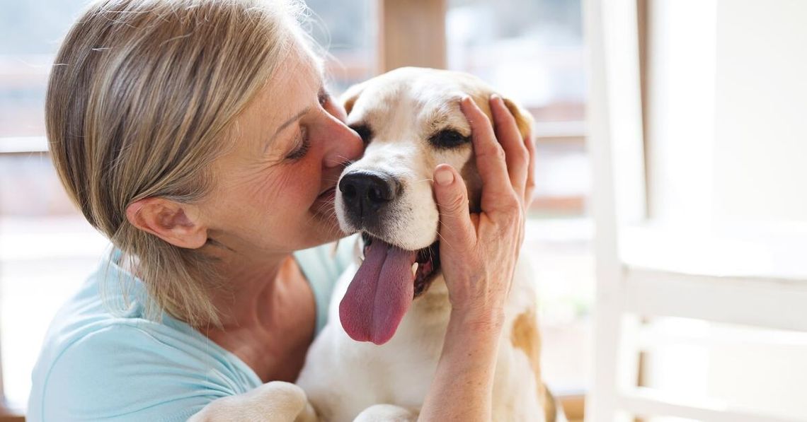 Zadbaj o zdrowie pupila – kiedy sięgnąć po karmy specjalistyczne i suplementy