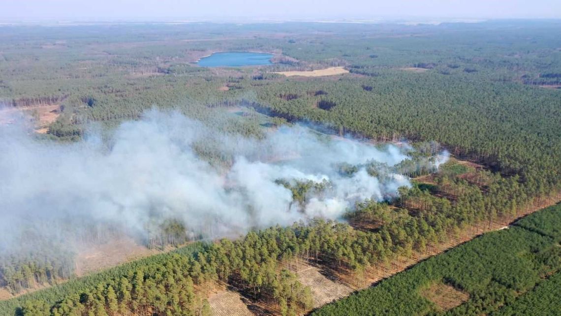 Zagrożenie pożarowe na terenie RDLP Szczecin
