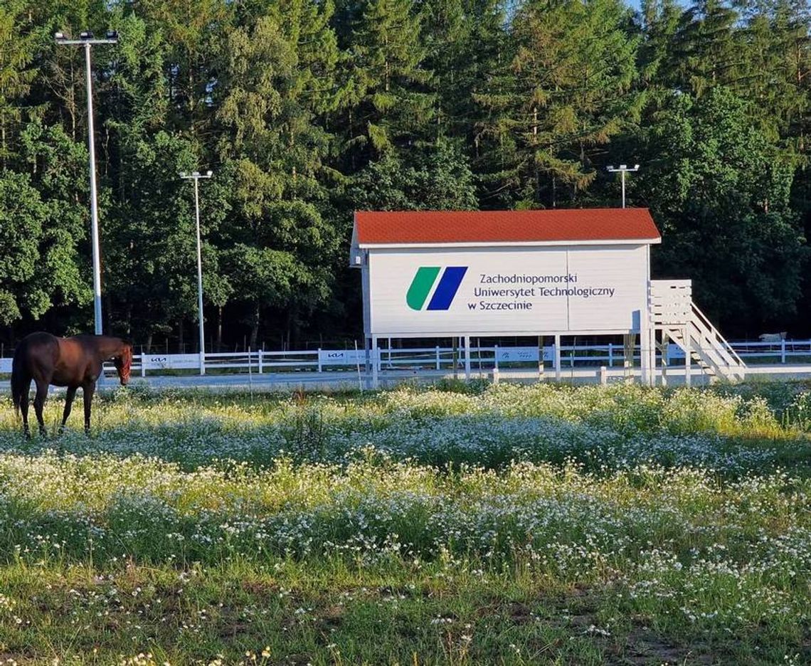 ZUT zaprasza na Dzień Dziecka w Stajni