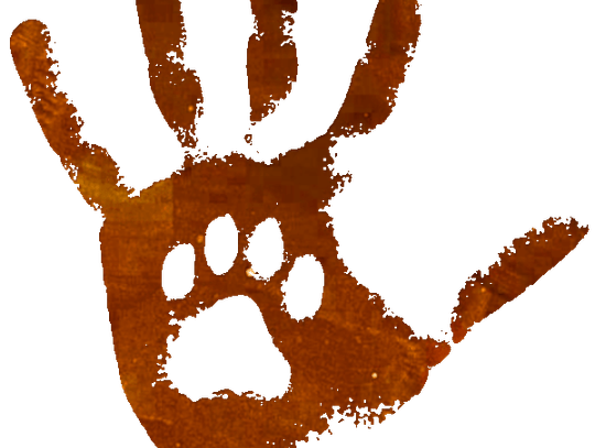 Kremacja zwierząt domowych Szczecin - BOK Pamiętaj o mnie krematorium