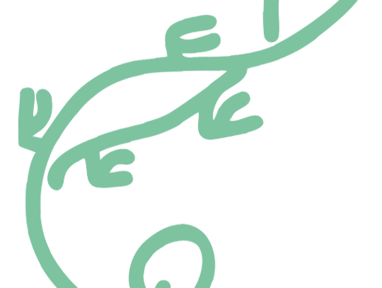 Legwan - Tłumaczenia i Konferencje