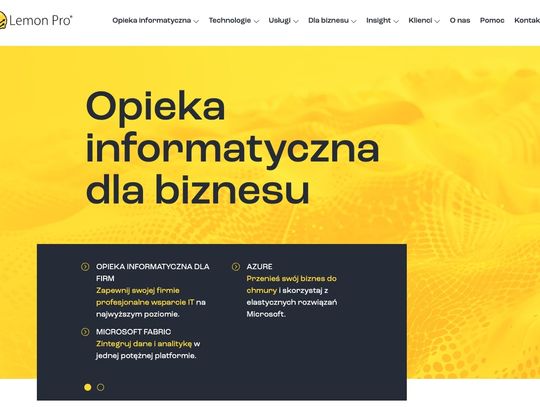 Lemon Pro: profesjonalne usługi IT dla firm