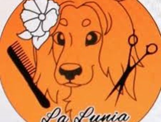 Psi fryzjer Opole - La Lunia Salon Groomerski