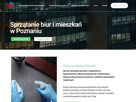 Sprawne Sprzątanie