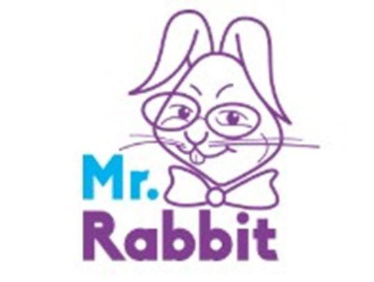 Szkoła językowa MR. RABBIT filia Rubinkowo-Jantar – Język angielski dla dzieci i młodzieży Toruń