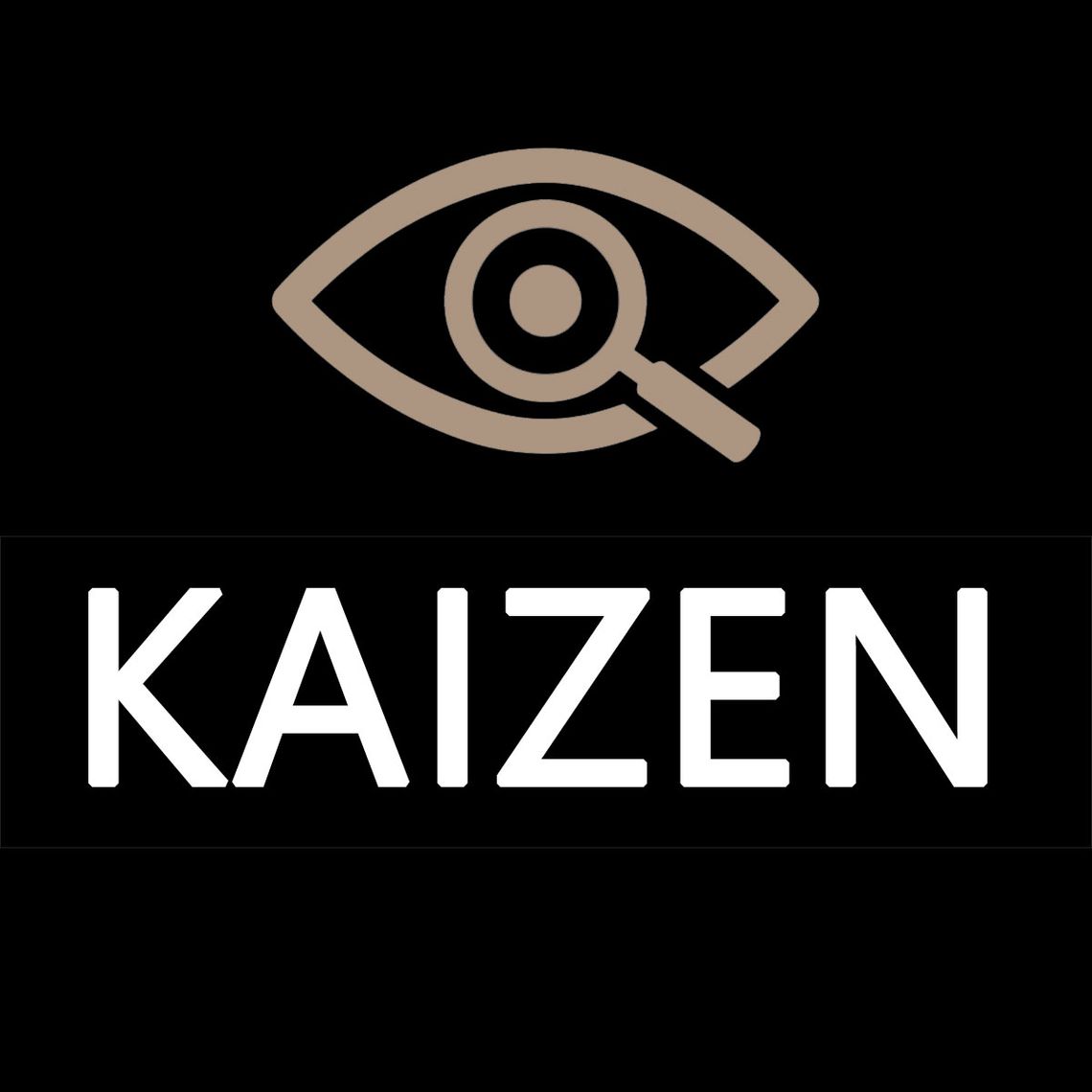 Biuro Detektywistyczne Kaizen Biuro Detektywistyczne Kaizen