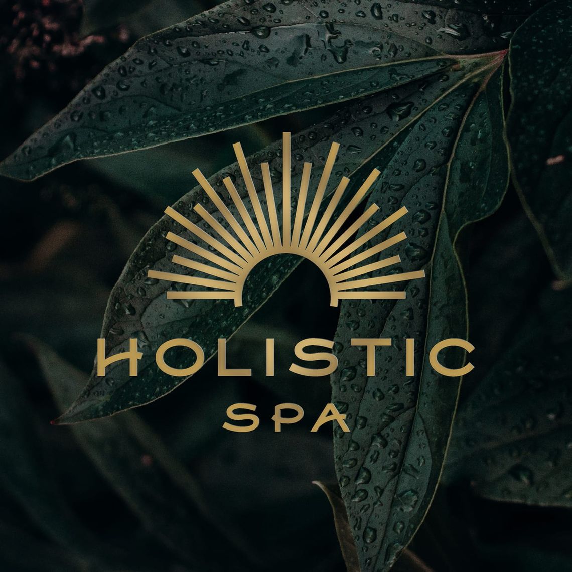 HOLISTIC SPA Cieszyn