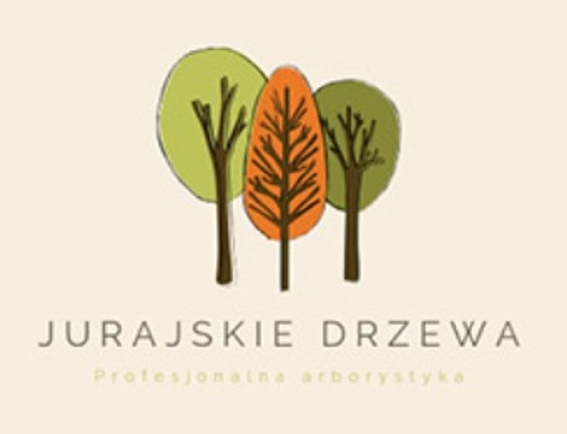 Jurajskie Drzewa | Fachowa arborystyka