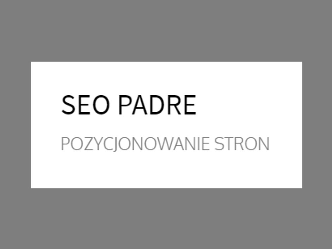 SEO Padre Pozycjonowanie stron 