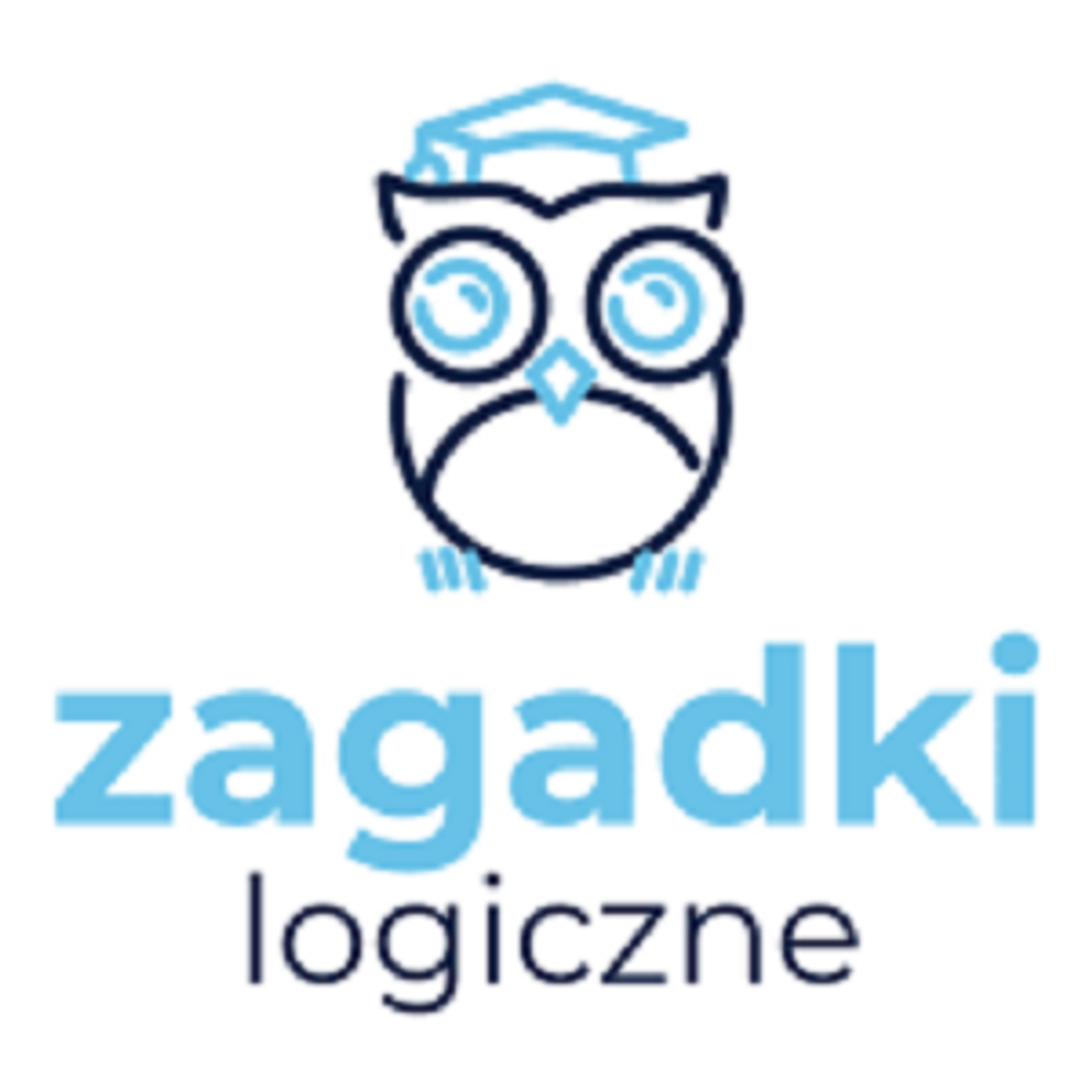 Zagadki Logiczne