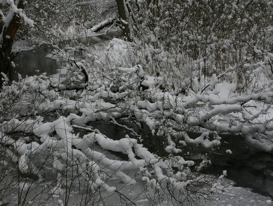 Zima w obiektywie Jana Majora
