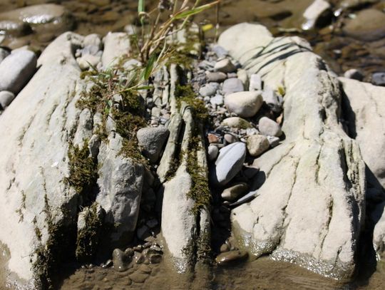 W obiektywie Jana Majora