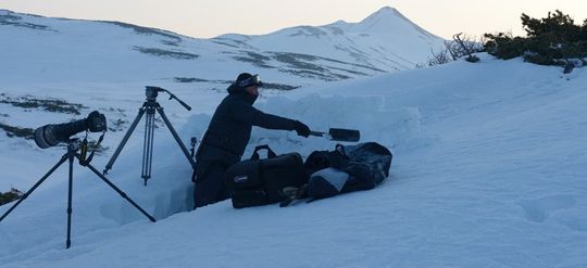 Photo 8 Kamchatka_Bears_backstage2