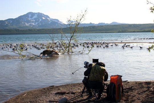 Photo 7 Kamchatka_Bears_backstage1