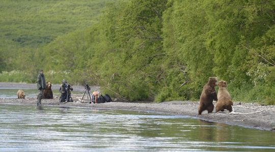 Photo 9 Kamchatka_Bears_backstage3