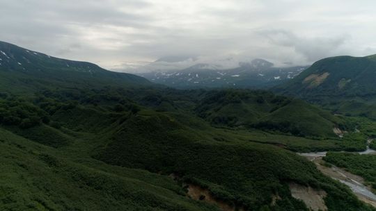 Photo 5 KAMCHATKA_BEARS_5