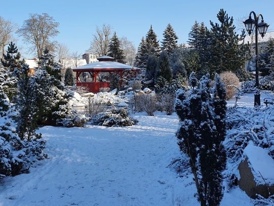 Gryfice - zimowe impresje...