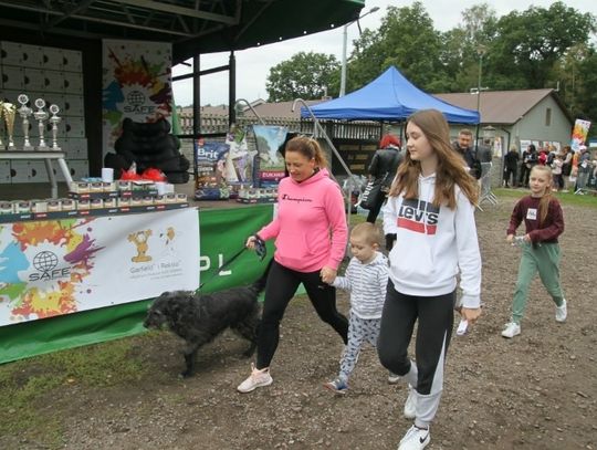 V Sosnowicki Rajd na 6 łapach