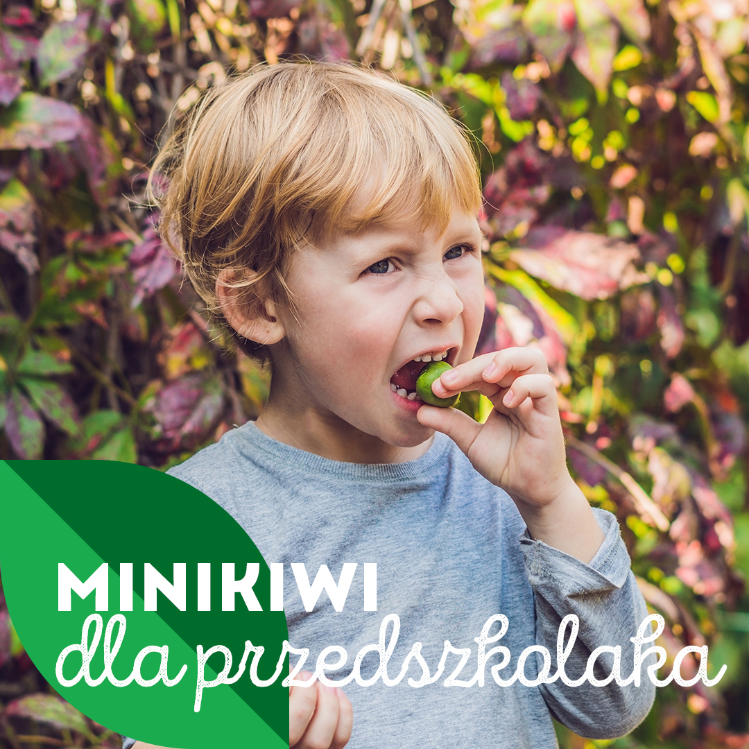 Krajowy Związek Grup Producentów Owoców i Warzyw (5)