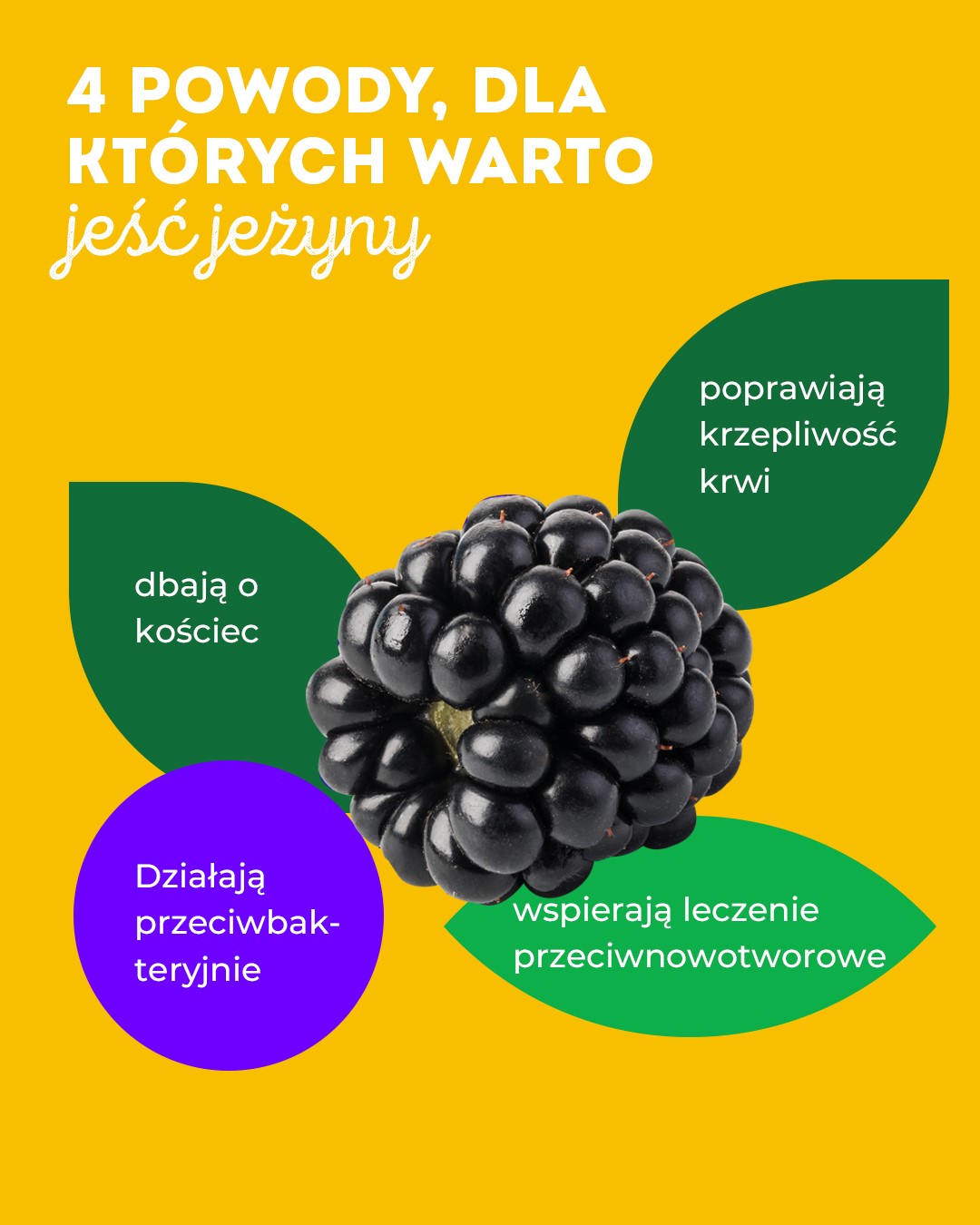 Krajowy Związek Grup Producentów Owoców i Warzyw (2)