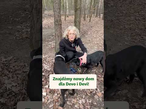 Odwiedzamy schronisko w Milanówku! Adoptuj z miłością #1